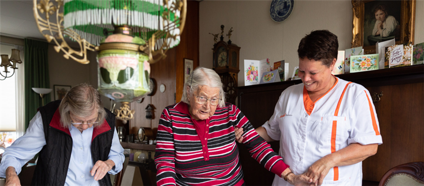 Leerling in de Zorg - Zaltbommel - Den Bosch